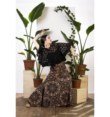 Falfa flamenco Alajar. 2