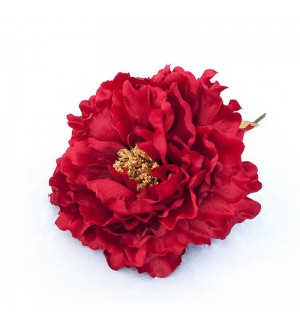 Flor peonia 