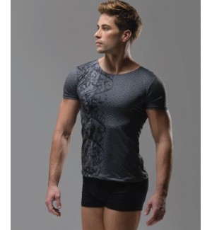 camiseta de ballet caballero 2