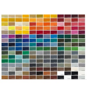 Zapato flamenco profesional cordonera 2