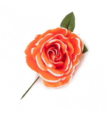 RD03 PINT - Rosa grande...