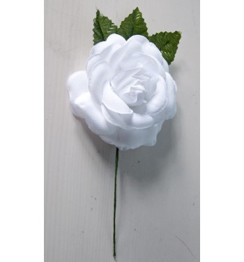 RD26 - Rosa del pelo infantil